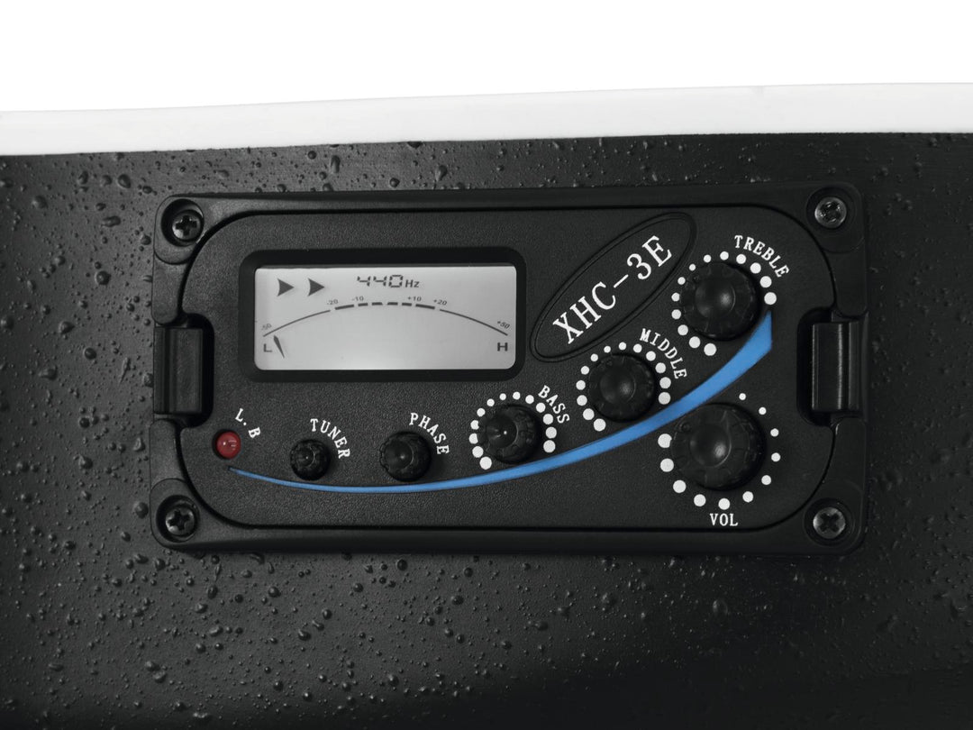 DiMavery RB-300 Guitare Roundback (Noir)