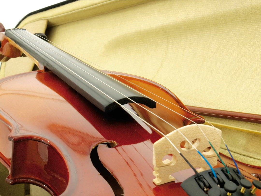 DiMavery Violon 4/4 avec Archet et Étui