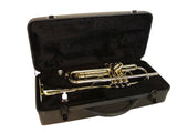 DiMavery TP-20 Bb Trumpet, Gold 