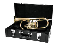 DiMavery FH-310D Bugle Bb