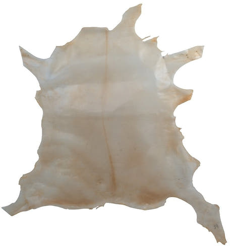 GEWA parchemin de veau, transparent, peau entière