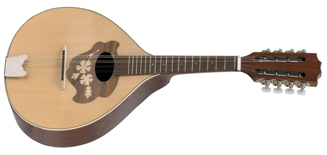 GEWA Mandoline plate Pro Arte Model 2 - High gloss