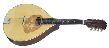 GEWA Mandola Pro Arte - High brillant