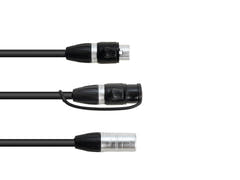 Câble adaptateur EUROLITE DMX IP XLR 3 broches(m)/2xIP XLR 3 broches(f)