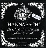 Hannabach Strings for classic guitar Serie 815 For 8/10 string guitar / medium tenion Silver special - Set 10-string medium (81510ZMT)