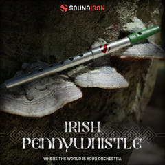 Iron Pack 11 - Flûte irlandaise