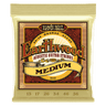 Ernie Ball Earthwood Bronze Cordes de Guitare (Akustisk)