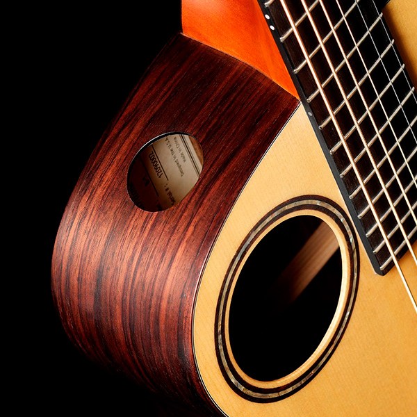 Walden B1EH Guitare Baryton (Naturel)