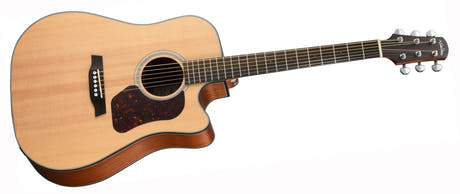 Walden D550CEW Guitares Western (Naturel)