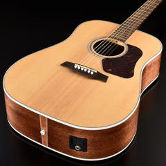 Walden D740EW Guitares Western (Naturel)