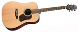 Walden D800EW Western Guitar (Natural)