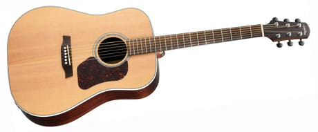 Walden D800EW Guitares Western (Naturel)