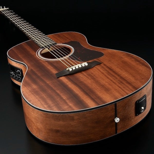 Walden G551EW Guitares Western (Naturel)
