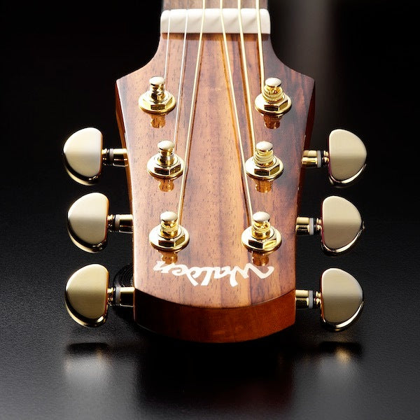 Walden G630CEW Guitares Western (Naturel)