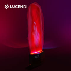 Firefog FLAME LIGHT 100 LED effet de flamme