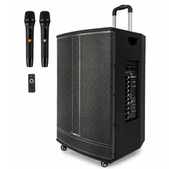Audioport V15 enceinte active portable de 500 W avec 2 microphones