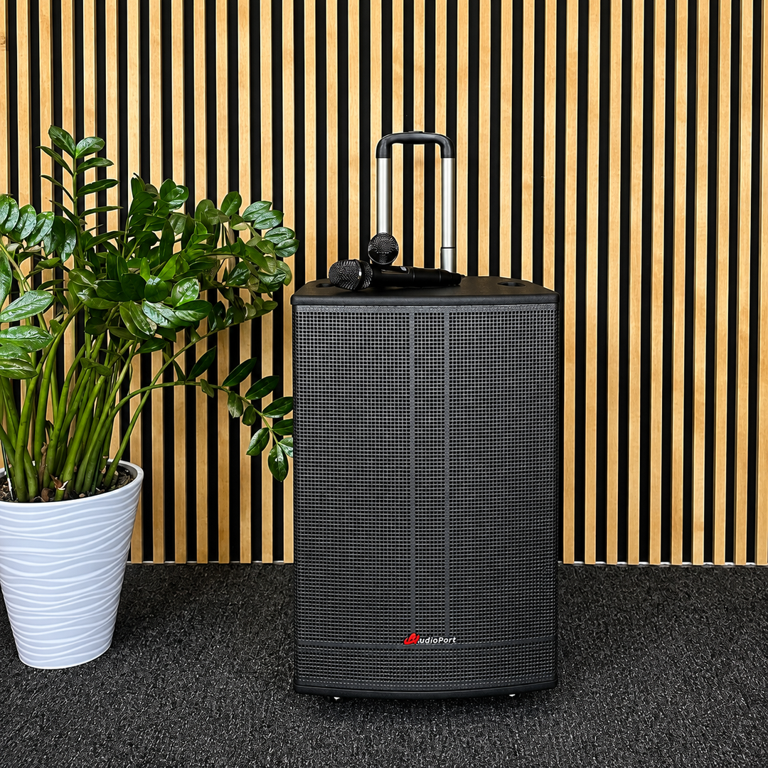 Audioport V15 enceinte active portable de 500 W avec 2 microphones
