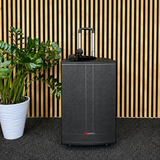 Audioport V15 enceinte active portable de 500 W avec 2 microphones