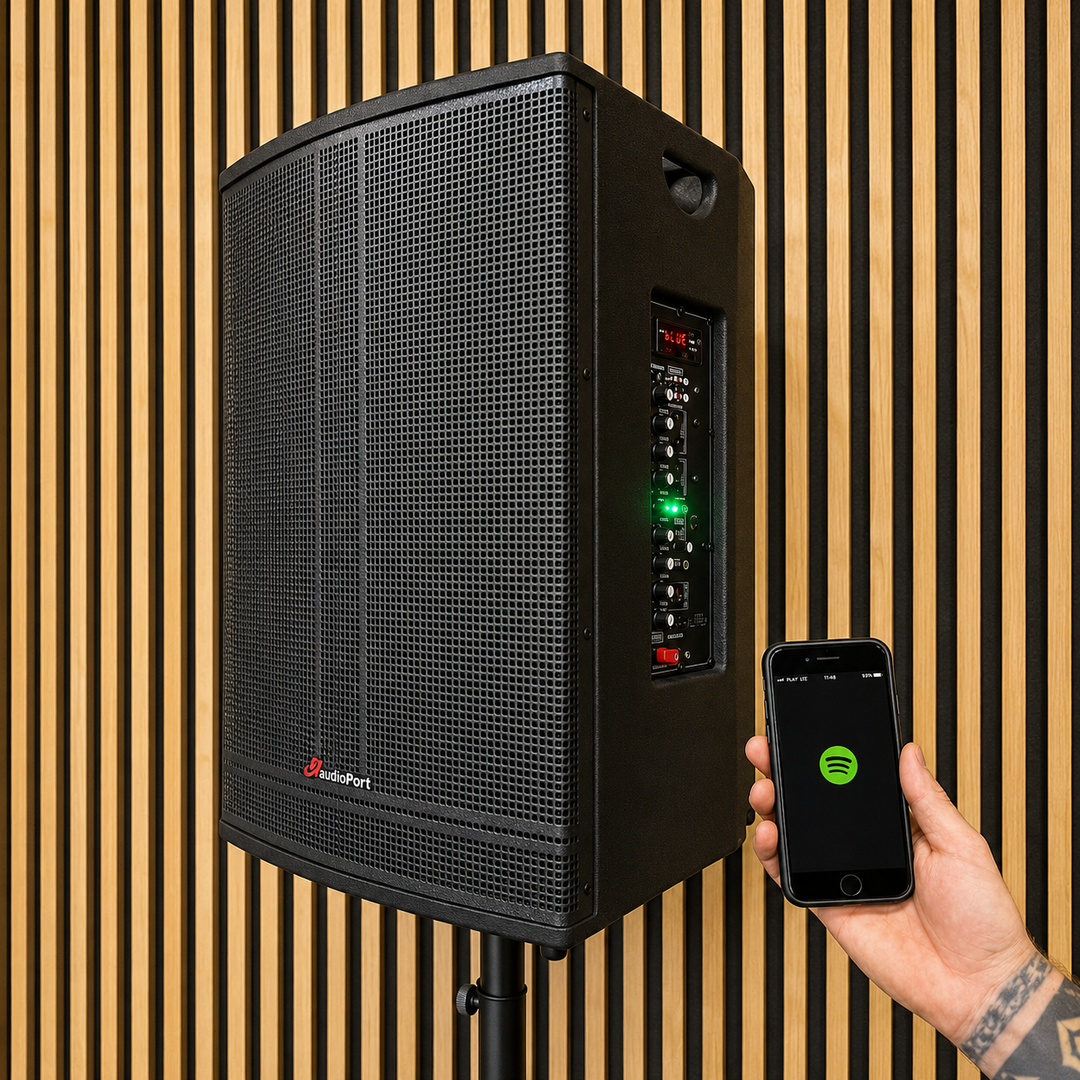 Audioport V15 enceinte active portable de 500 W avec 2 microphones