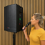 Audioport V15 enceinte active portable de 500 W avec 2 microphones