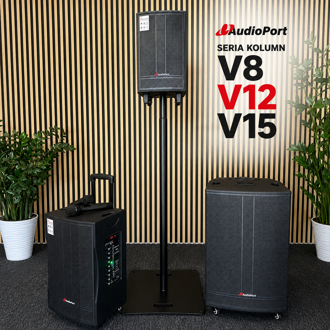 Audioport V15 enceinte active portable de 500 W avec 2 microphones