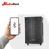 Audioport V15 enceinte active portable de 500 W avec 2 microphones