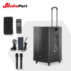 Audioport V15 enceinte active portable de 500 W avec 2 microphones