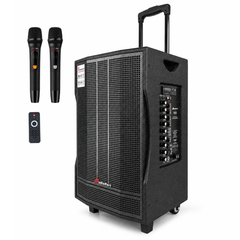 Audioport V12 enceinte active portable 350 W avec 2 microphones