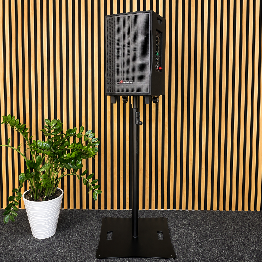 Audioport V12 enceinte active portable 350 W avec 2 microphones