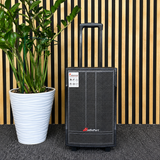 Audioport V8 enceinte active portable 250 W avec 2 microphones