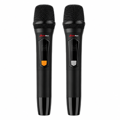 Audioport V8 enceinte active portable 250 W avec 2 microphones