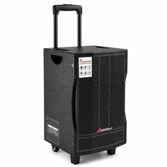 Audioport V8 enceinte active portable 250 W avec 2 microphones