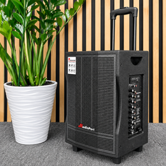 Audioport V8 enceinte active portable 250 W avec 2 microphones