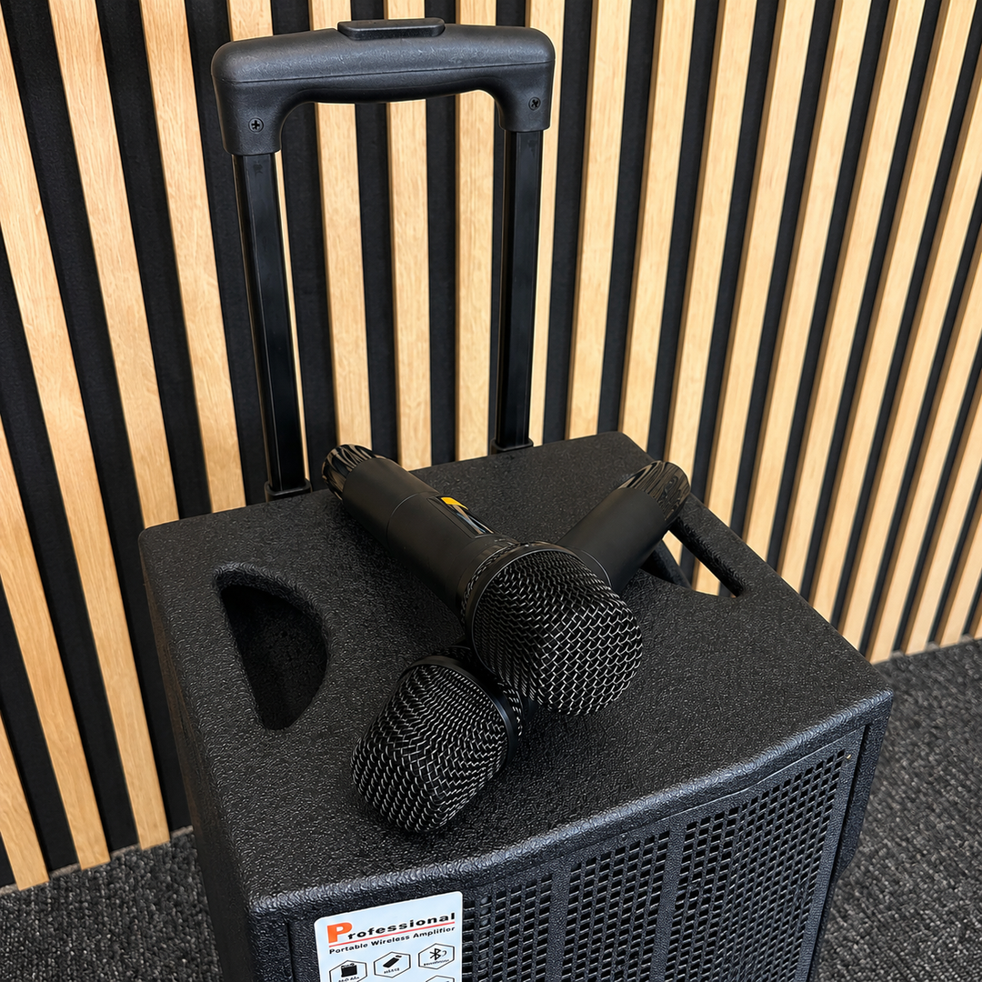Audioport V8 enceinte active portable 250 W avec 2 microphones