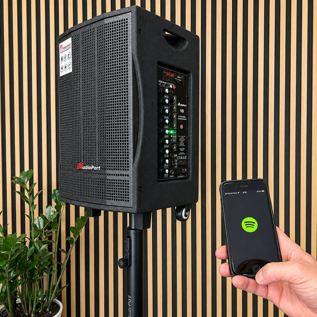 Audioport V8 enceinte active portable 250 W avec 2 microphones