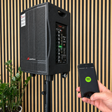 Audioport V8 enceinte active portable 250 W avec 2 microphones
