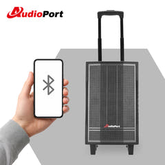 Audioport V8 enceinte active portable 250 W avec 2 microphones