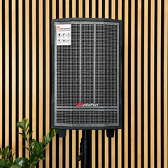 Audioport V8 enceinte active portable 250 W avec 2 microphones