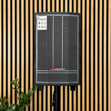 Audioport V8 enceinte active portable 250 W avec 2 microphones