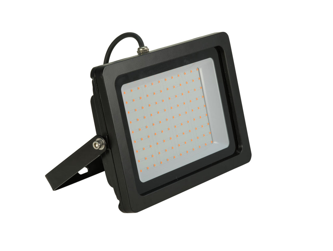EUROLITE LED IP FL-100 SMD violet