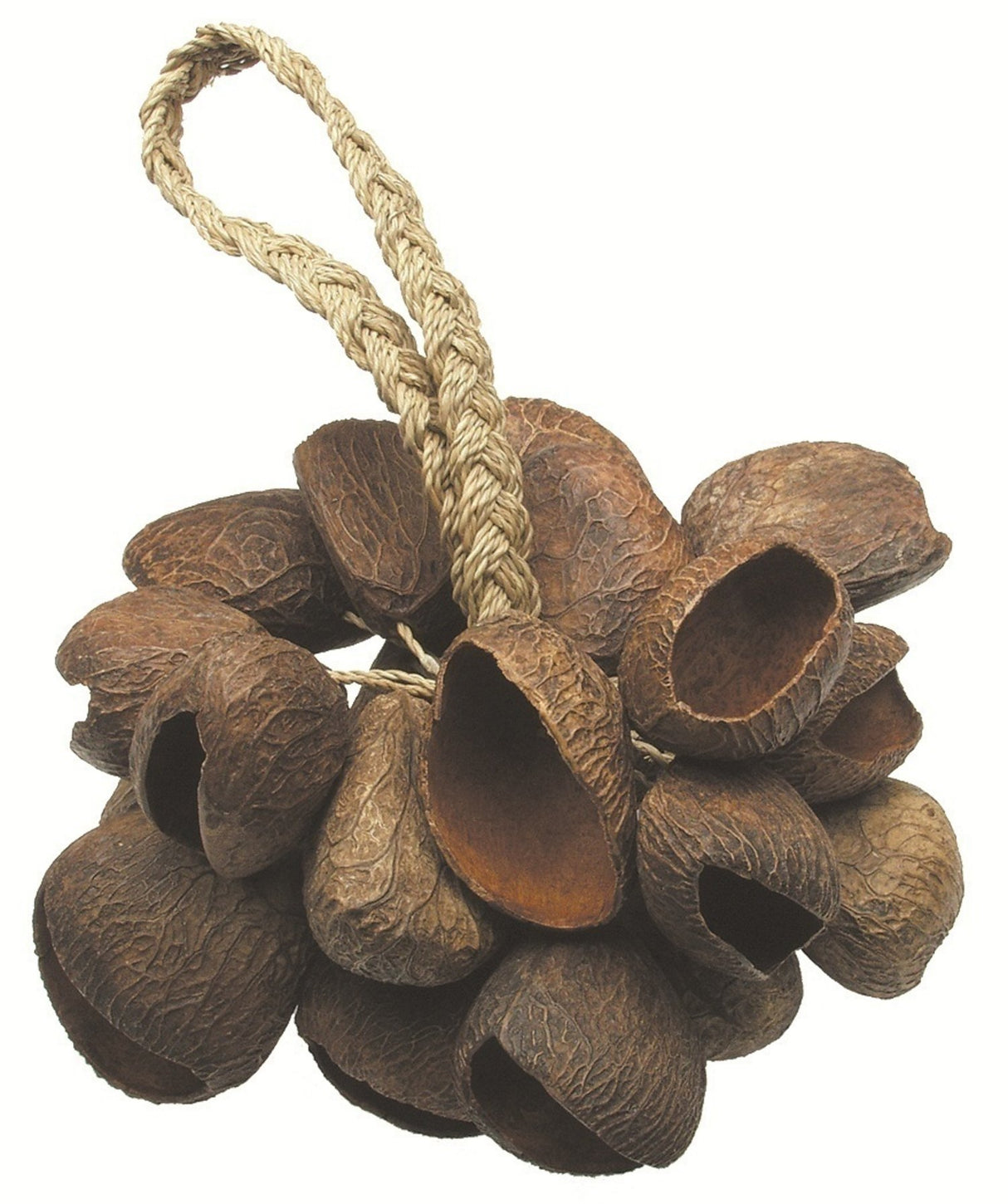 Toca Shaker Seed Shell (T-SS)