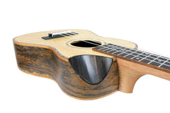 Reno RU380CE Ukulélé de concert (Naturel)