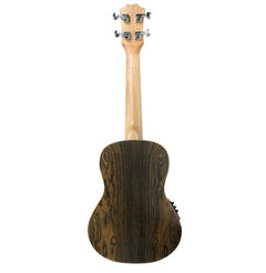 Reno RU380CE Ukulélé de concert (Naturel)