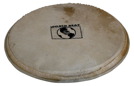 Latin Percussion Percussion head Plenera - 10" (WB505B)