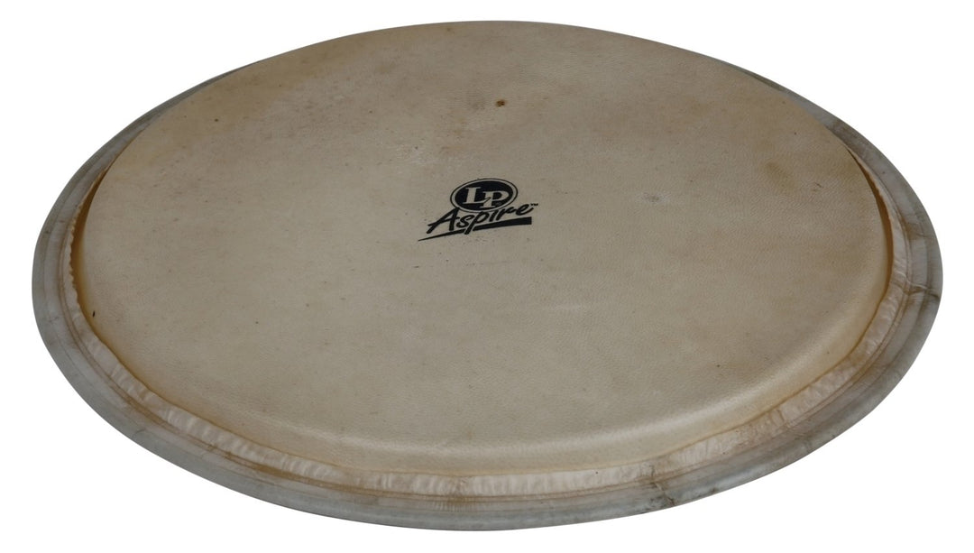 Latin Percussion tête de Djembe Aspire - peau de chèvre 12,5" (LPA630A)