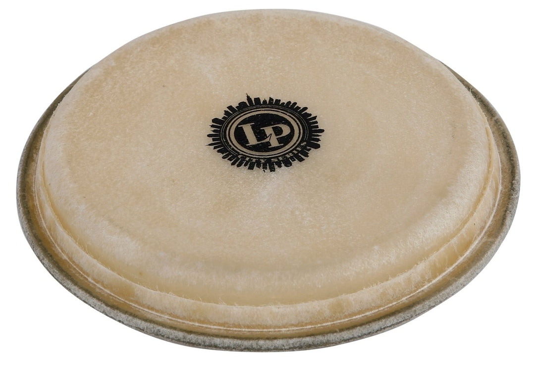 Latin Percussion Peau de bongo City EZ Curve Rim - 7,5" Hembra (LP663B)