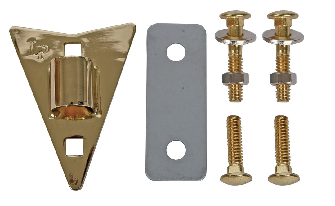 Latin Percussion plaque latérale Djembé LP702 LP702RG Richie Garcia - LP799X-AW LP797Z-AWG LP799X-AWC LP797Z-AWC Galaxy - LP-JRX Junior Congas - Gold (LP930B)