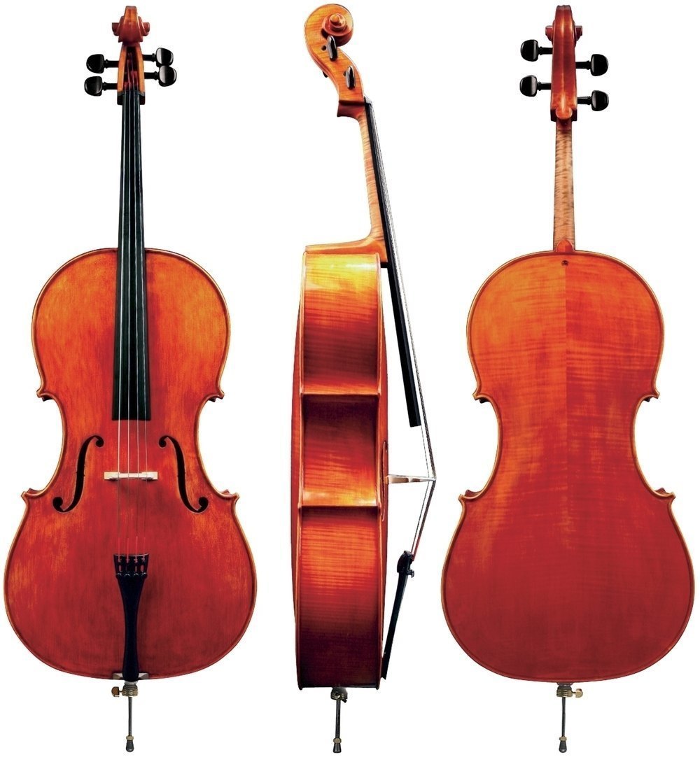GEWA Georg Walther violoncelle de concert 4/4, Montagnana, non monté