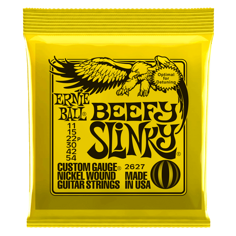 Ernie Ball Slinky Nickel Wound Cordes de Guitare (El-Guitar)