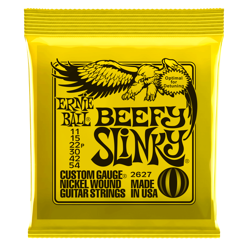 Ernie Ball Slinky Nickel Wound Cordes de Guitare (El-Guitar)